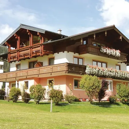 Wastlgasse V Apartment Flachau